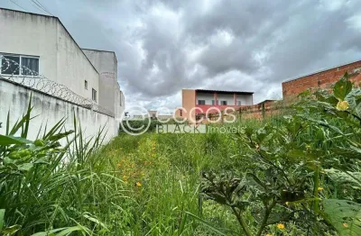 Terreno à venda na Rua Agenor Lemes Garcia, Shopping Park, Uberlândia