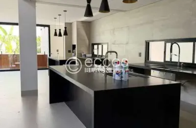 Casa à venda, 4 quartos, 3 suítes, 2 vagas, Vigilato Pereira - Uberlândia/MG