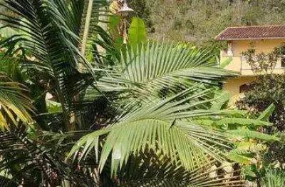 Sítio para venda em nova friburgo, amparo, 2 dormitórios, 1 suíte, 3 banheiros, 5 vagas