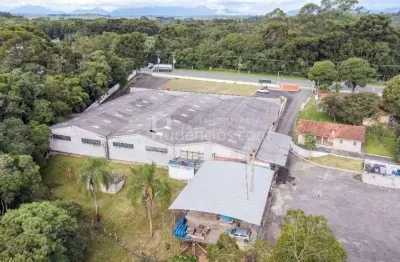 Terreno, 41000 m  - venda por R  22.000.000,00 ou aluguel por R  51.000,00 mês - Capivari - Colombo