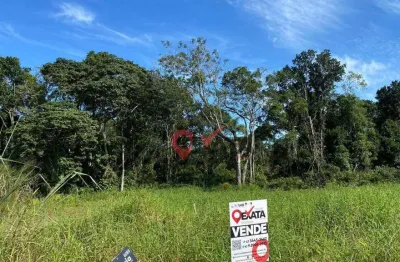 Terreno à venda, 375 m² por r$ 180.000,00 - rosa dos ventos - itapoá/sc