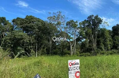 Terreno à venda no Rosa dos Ventos, Itapoá 