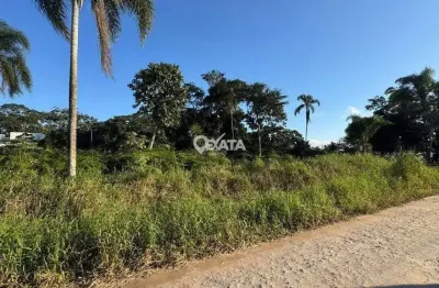 Terreno à venda no Brandalize, Itapoá 