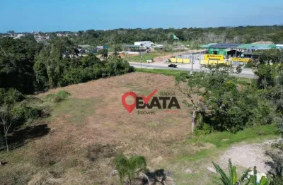 Área, 6084 m² - venda por r$ 5.000.000,00 ou aluguel por r$ 189.000,00/ano - sai mirim - itapoá/sc