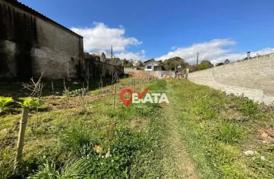 Terreno à venda, 372 m² por r$ 170.000,00 - serra alta - são bento do sul/sc