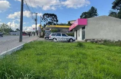 Terreno à venda na Serra Alta, São Bento do Sul 