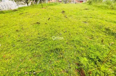 Terreno à venda na Serra Alta, São Bento do Sul 