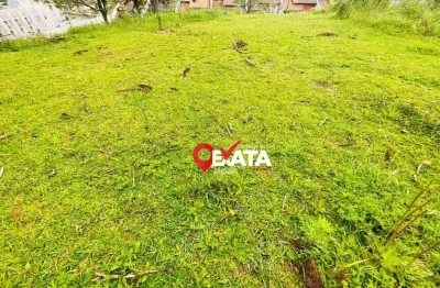 Terreno à venda, 470 m² por r$ 143.000,00 - serra alta - são bento do sul/sc