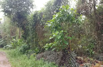 Terreno à venda na Praia do Itamambuca, Ubatuba 