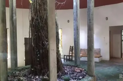 Chácara no horto florestal em ubatuba rodeado pela mata atlântica.