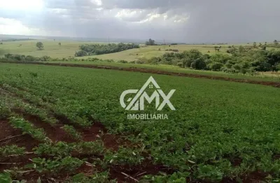 Sítio à venda, 193600 m² por r$ 2.800.000 - rural - bela vista do paraíso/pr
