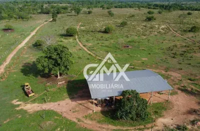 Fazenda à venda,  294 alqueires goiano  por r$ 20.000.000 - zona rural - a imobiliária gmx oferece fazenda com 294 alqueires em talismã  – to