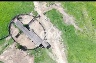 Fazenda com 6 dormitórios à venda, 9970400 m² por r$ 30.000.000,00 - rural - sapopema/pr