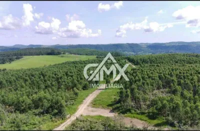 Fazenda com 6 dormitórios à venda, 9970400 m² por R$ 30.000.000,00 - Rural - Sapopema/PR