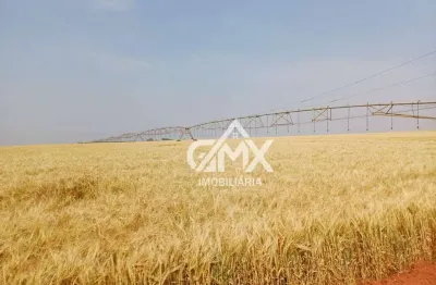 Fazenda à venda, 650 alqueires por r$ 260.000.000 - rural - taquarituba/sp