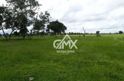 Fazenda com 10 dormitórios à venda, 19199796 m² por r$ 30.000.000,00 - rural - araguaiana/mt