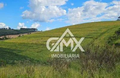 Sítio com 2 dormitórios à venda, 145200 m² por r$ 1.000.000 - zona rural - tamarana/pr