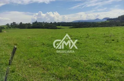 Sítio à venda, sitio de 23 por r$ 3.500.000 - rural - sapopema/pr