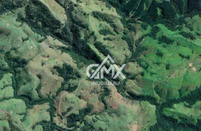 Fazenda à venda, 40 alqueirs  por r$ 5.100.000 - rural - sapopema/pr