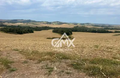 Fazenda com 129 alqueires à venda, 3121800 m² por r$ 9.030.000 - três bicos - candido de abreu/pr