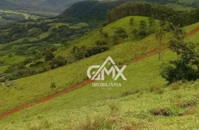 Fazenda com 129 alqueires à venda, 3121800 m² por r$ 9.030.000 - três bicos - candido de abreu/pr