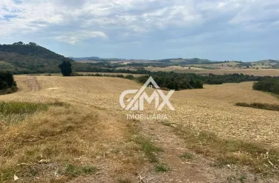 Fazenda à venda, 88 alqueires  por r$ 14.500.000 - rural - jundiai do sul/pr