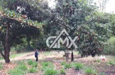 Chácara à venda, 1800 m² por R$ 185.000,00 - Fazenda da Nata - Londrina/PR