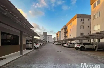 Apartamento com 2 dormitórios no bairro murta em itajaí