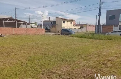 Terreno à venda na Pedra de Amolar, Ilhota 