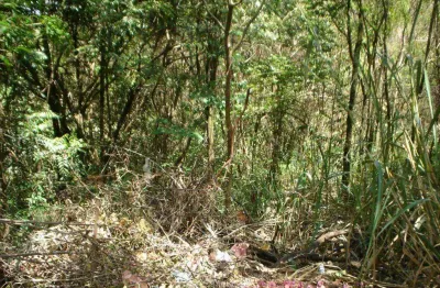 Terreno em condomínio fechado à venda no jardim sorirama (sousas), campinas  por r$ 450.000
