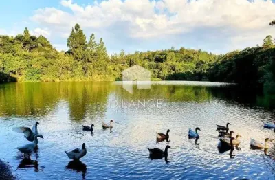 Terreno em condomínio fechado à venda na Rua Professora Lydia Abdala, 13, Joaquim Egídio, Campinas