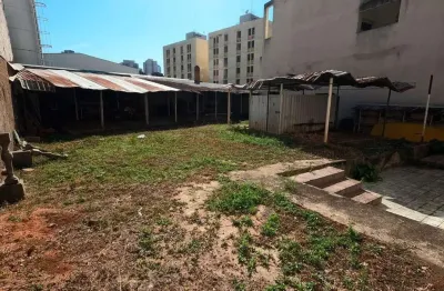 Casa para alugar em campinas, cambuí, com 3 quartos, com 226 m²