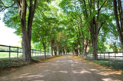 Terreno à venda em jaguariúna, reserva santa izabel, com 410 m², reserva santa izabel