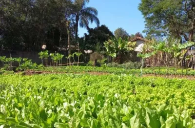 Terreno à venda na Rua Antônio Carlos Micoli, 365, Village Campinas, Campinas