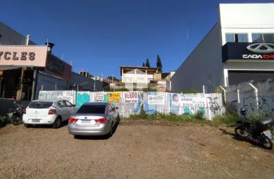 Terreno para venda e locação no bairro nova campinas em campinas