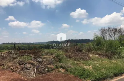 Terreno comercial à venda na Rua Maria Olga de Carvalho Alves, 345, Betel, Paulínia