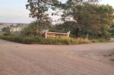 Terreno comercial para alugar na Rua do Patronato, S/N, Novo Horizonte, Sapucaia do Sul