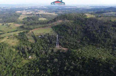 Chácara / sítio com 2 quartos à venda na Estrada Municipal Velha São Leopoldo, Santa Tecla (Ipiranga), Gravataí