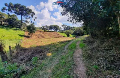 Terreno à venda na Linha Santa Clara, 1, Centro, Carlos Barbosa