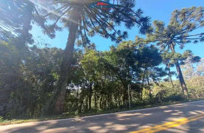 Terreno à venda na Linha Alpinada, Arcoverde, Carlos Barbosa