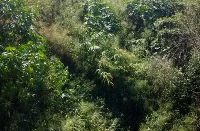 Terreno à venda no Jardim Casa Branca, Betim 