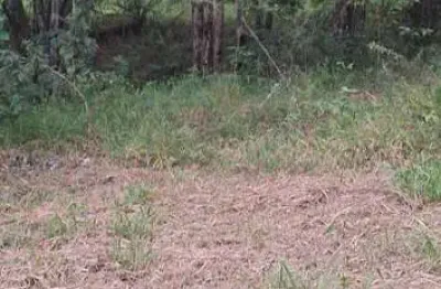 Chácara / sítio com 2 quartos à venda no Flores e Florestas, Betim 