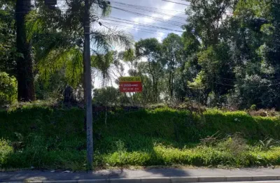 Terreno à venda na Rua Professor Alberto Piekarz, Colônia Antônio Prado, Almirante Tamandaré