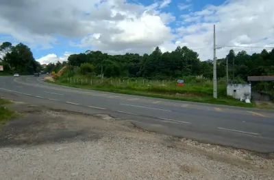 Terreno comercial à venda na Rodovia dos Minérios, 6209, Lamenha Grande, Almirante Tamandaré