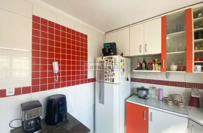 Apartamento lindo/ reformado / 3 dormitórios / 2 wcs / 1 vaga / 62 metros / lazer / vila das mercês