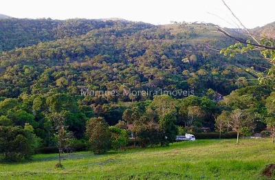 Terreno em condomínio fechado à venda na Estrada Domingos Hungaro, Salvaterra, Juiz de Fora