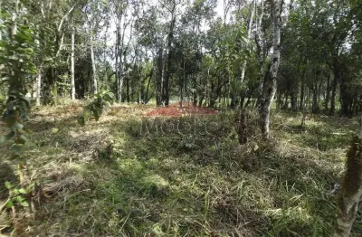 Chácara / sítio à venda na rua josé biscaia de andrade, zona rural, mandirituba, 2499 m2 por r$ 249.000