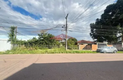 Terreno à venda na rua baldur magnus grubba, fazendinha, curitiba, 3750 m2 por r$ 2.550.000