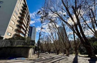 Apartamento 3 dormitórios à venda exposição caxias do sul/rs