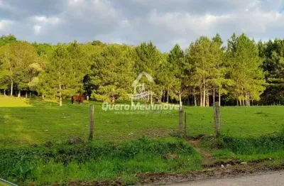 Terreno à venda na Travessa Henrique D'avila, 1, Parada Cristal, Caxias do Sul